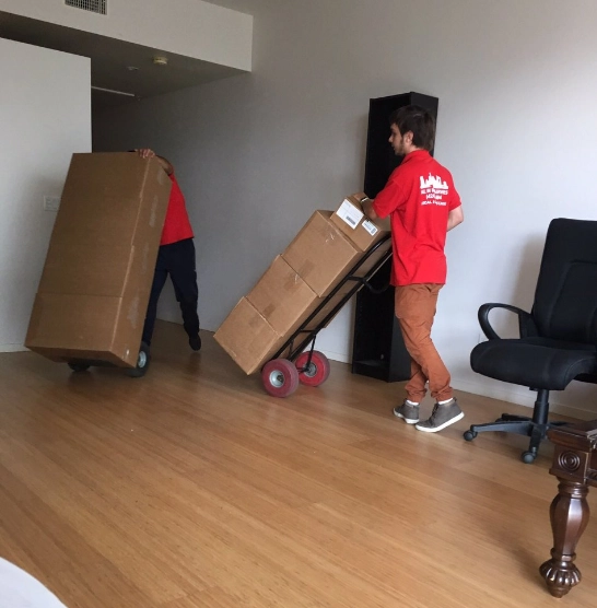 Mover moving a trolley